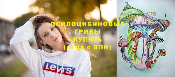 spice Киреевск
