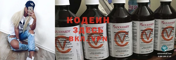 молекула духа Киренск